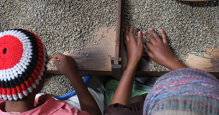 Coffee beans Workers in the Democratic Republic of Congo sort coffee beans. Companies are working to embrace sustainability and transparency across the supply chain.