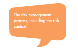 The risk-management process, including the risk context.
