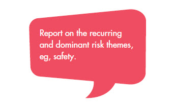 Report on the recurring and dominant risk themes, eg, safety.