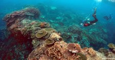 Great Barrier Reef