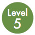 Level 5