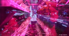 Vertical farming was demonstrated at the 2019 International Consumer Electronics Show Asia in Shanghai in June.